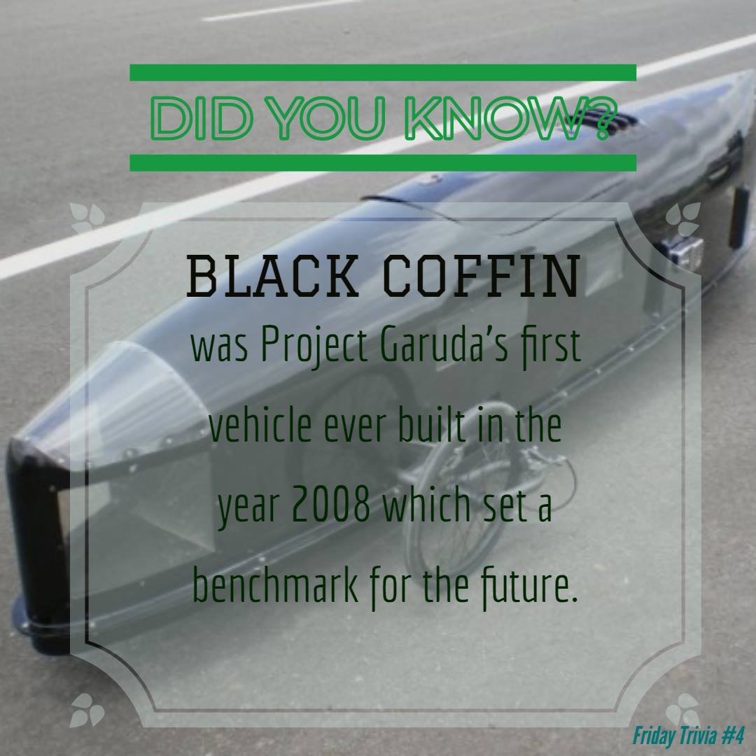 BLACK COFFIN - View 4